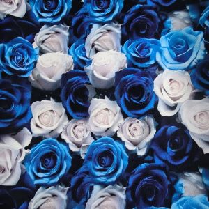 BISTRECH FLOREADO SUBLIMADO 
1.50 DE ANCHO 50