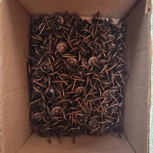 CHINCHE CAFE DISEÑO 01